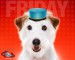 1231569307_1280x1024_hotel-for-dogs-friday